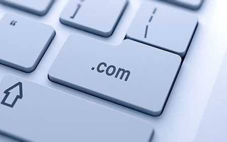 Domain Life Cycle